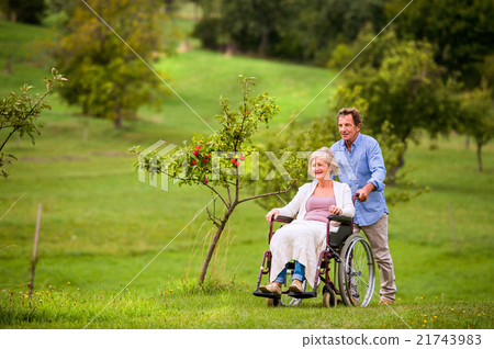 Senior man pushing woman in wheelchair, green 21743983