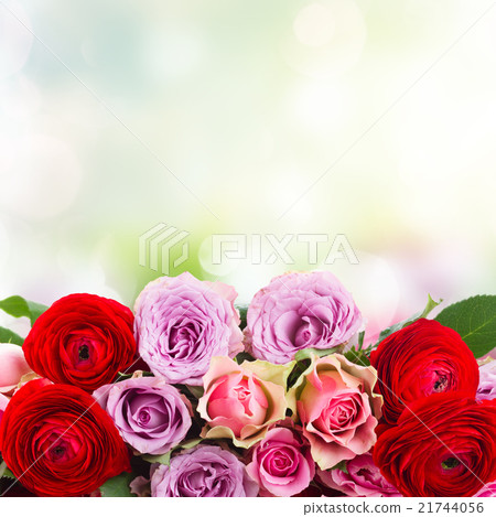 bouquet of fresh roses and ranunculus bouquet of fresh roses and ranunculus 21744056