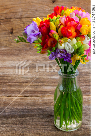 Fresh freesia flowers Fresh freesia flowers 21744062
