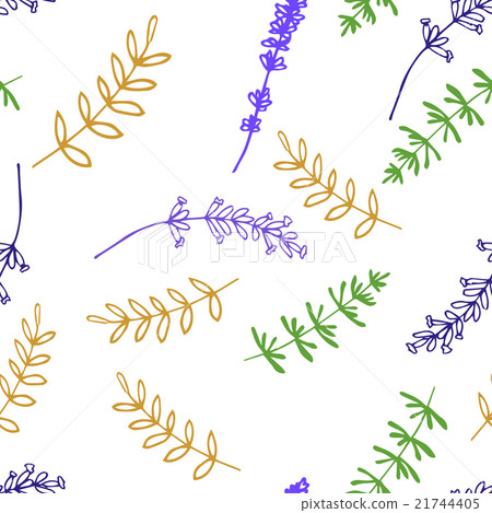 Lavender Seamless pattern  21744405