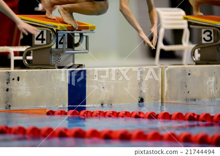 swimming swimming 21744494