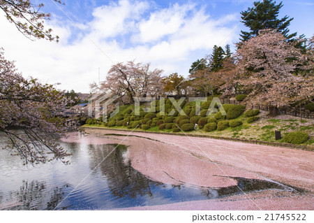 敦賀城堡花筏 21745522