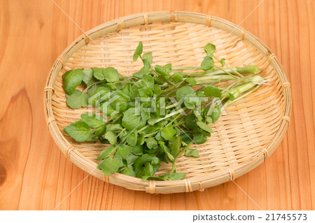 豆瓣菜作為食物 豆瓣菜作為食物 21745573