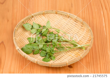 豆瓣菜作為食物 豆瓣菜作為食物 21745575