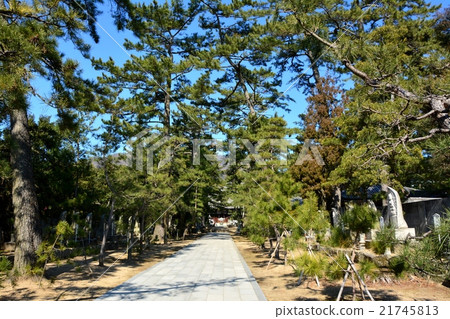 四國80號票國分寺(接近路徑) 四國80號票國分寺(接近路徑) 21745813