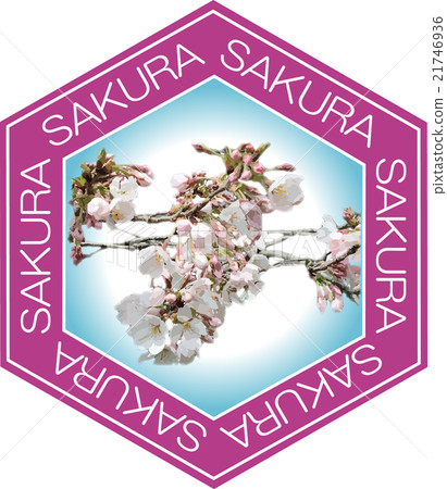 櫻花和SAKURA（天藍色） 21746936