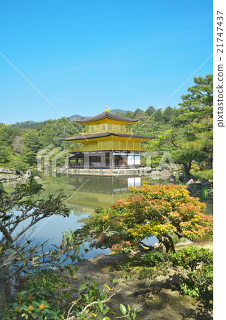 新鮮的綠色Kinkaku-ji 21747437