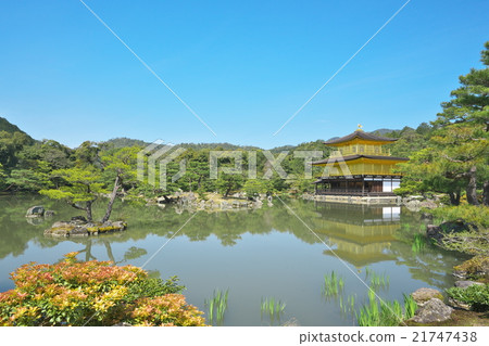 新鮮的綠色Kinkaku-ji 新鮮的綠色Kinkaku-ji 21747438