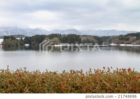 Oyama Ike Hikariya Tameike Oyama Ike Hikariya Tameike 21748696