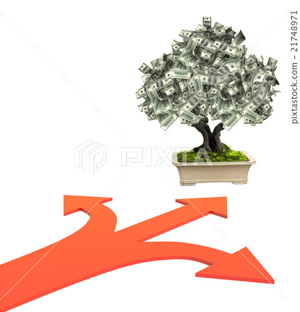 Money tree with dollar banknotes Money tree with dollar banknotes 21748971