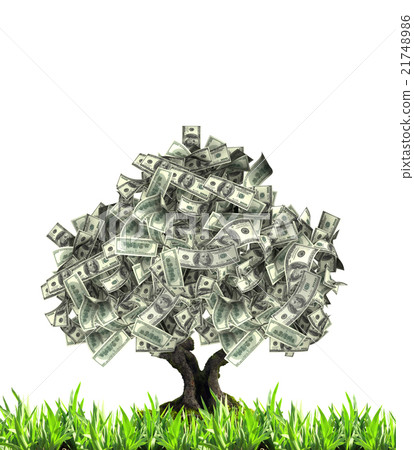 Money tree with dollar banknotes 21748986