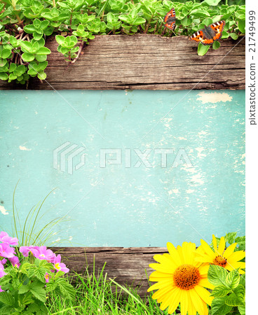 Summer background with butterfly and grass Summer background with butterfly and grass 21749499