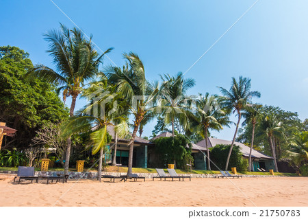 Beautiful beach and sea with palm tree Beautiful beach and sea with palm tree 21750783