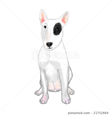 狗鬥牛梗 21752669