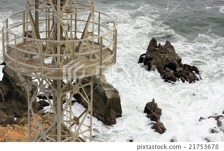 White wave White wave 21753678