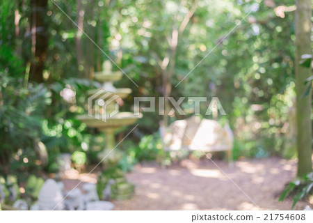Blurred park with bokeh light, natural background 21754608