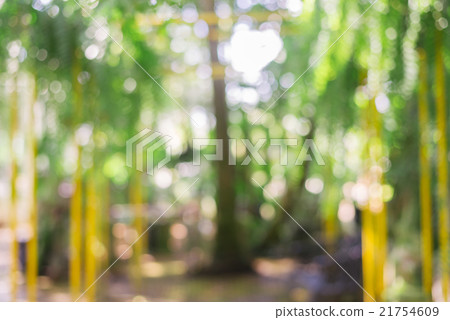 Blurred park with bokeh light, natural background Blurred park with bokeh light, natural background 21754609