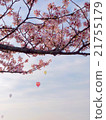 Cherry blossoms and balloons 21755179
