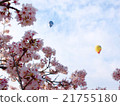 Cherry blossoms and balloon 2 21755180