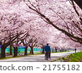 Parent and child viewing flower viewing 21755182
