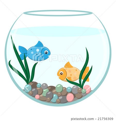 Golden and blue fish in the round aquarium Golden and blue fish in the round aquarium 21756309