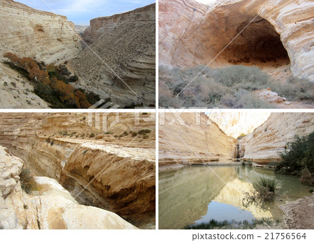 Canyon En Avedat and oasis Canyon En Avedat and oasis 21756564