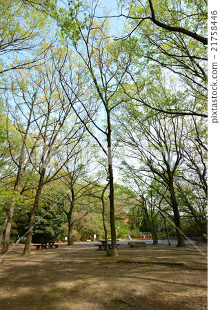 Sakuradai Park 21758446