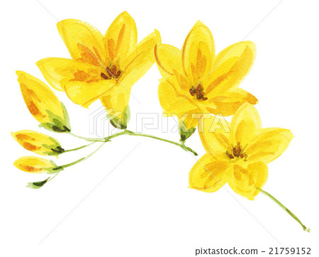 bloom, blossom, blossoms 21759152