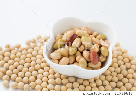 豆類 21759615