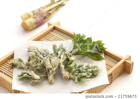 Tempura of Mountain Udo Tempura of Mountain Udo 21759673