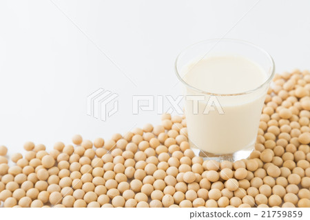 Soy and soymilk white back Soy and soymilk white back 21759859