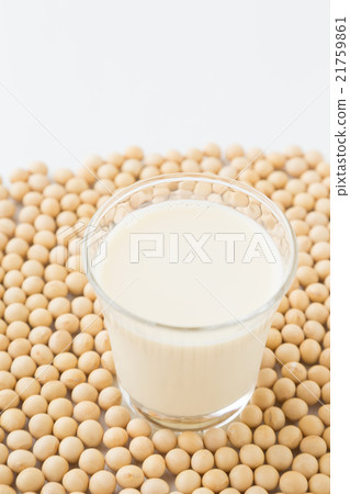 Soy and soymilk white back Soy and soymilk white back 21759861