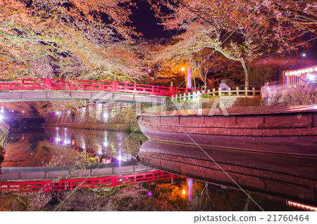 Cherry blossoms at night Cherry blossoms at night 21760464