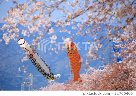 鯉魚旗 鯉魚旗 21760466