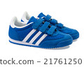 Pair of blue and white sneakers isolated  21761250