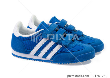 Pair of blue and white sneakers isolated  21761250