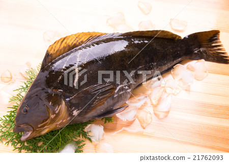 Pin-and-fishing Ainame Pin-and-fishing Ainame 21762093