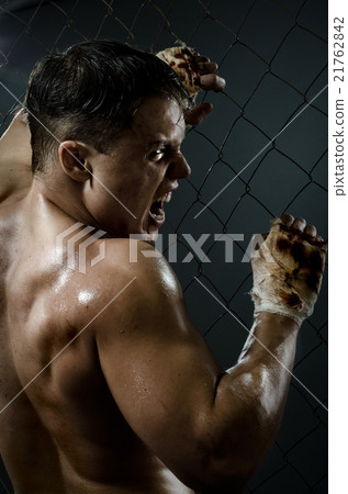 street fighter street fighter 21762842