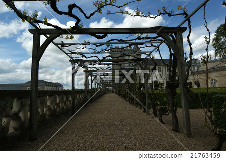 Villandry chateau, Loire Valley, France Villandry chateau, Loire Valley, France 21763459