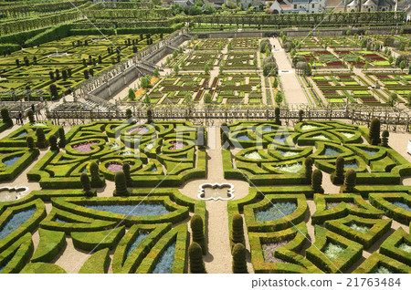 Ornamental gardens near castle of Villandry,France 21763484
