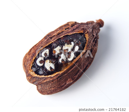 Black cardamom pods isolated on white background Black cardamom pods isolated on white background 21764182