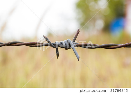 Barbed wire fence 21764845
