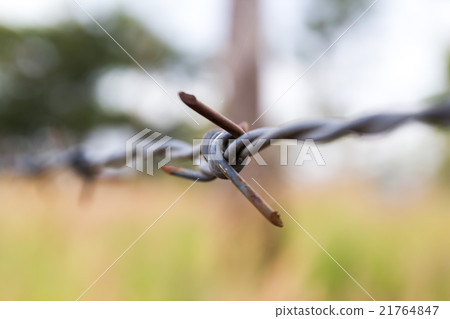 Barbed wire fence 21764847