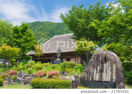 新鮮的綠色搖籃曲公園 21765501