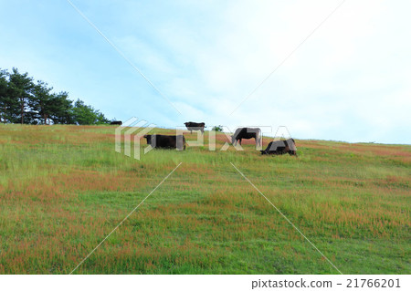 grazing grazing 21766201