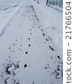 雪和腳印 21766504