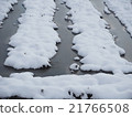 雪和稻田 21766508