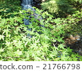 Waterfall Exhibition 21766798
