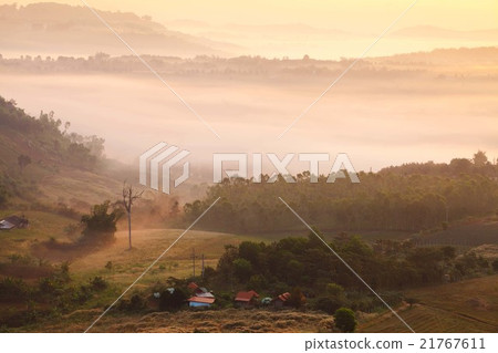 misty morning sunrise in mountain at Khao-kho misty morning sunrise in mountain at Khao-kho 21767611
