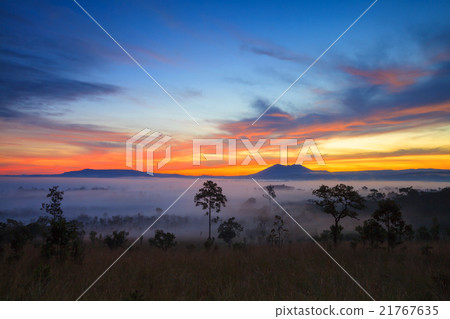 misty morning sunrise at Thung Salang Luang misty morning sunrise at Thung Salang Luang 21767635